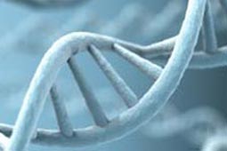 轰炸手机号信息软件免费版